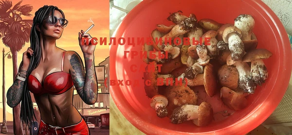 эйфоретик Алексеевка