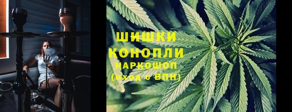 spice Алзамай