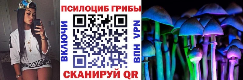 Псилоцибиновые грибы GOLDEN TEACHER  сколько стоит  Томмот 